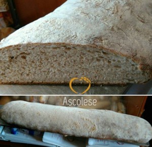 100% Tumminia, acqua, sale e lievito madre: rivive da Ascolese la tradizione del pane nero di Castelvetrano. 